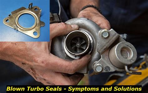 test turbo oil seals|blown turbo seals.